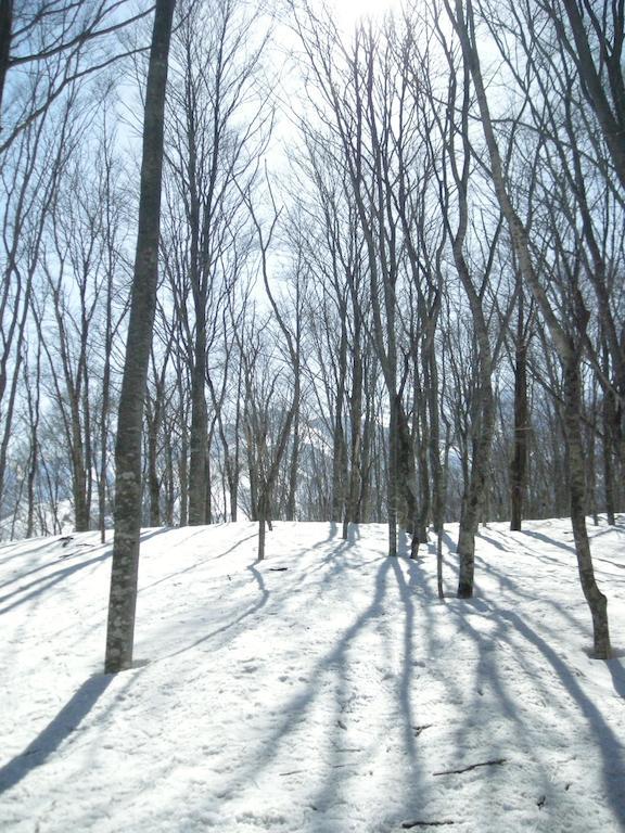 Villa Komakusa Хакуба-Мура Экстерьер фото
